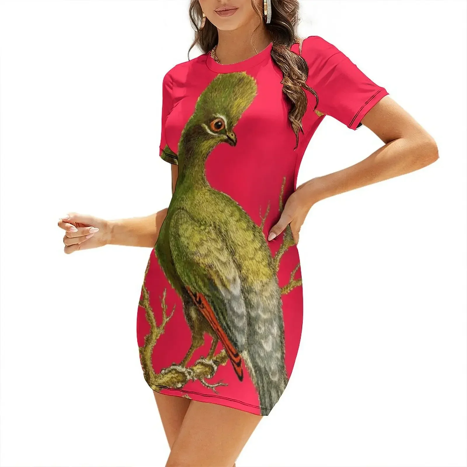 Women'S Fashion Dresses Images - Touraco - Imagen vintage de Bird