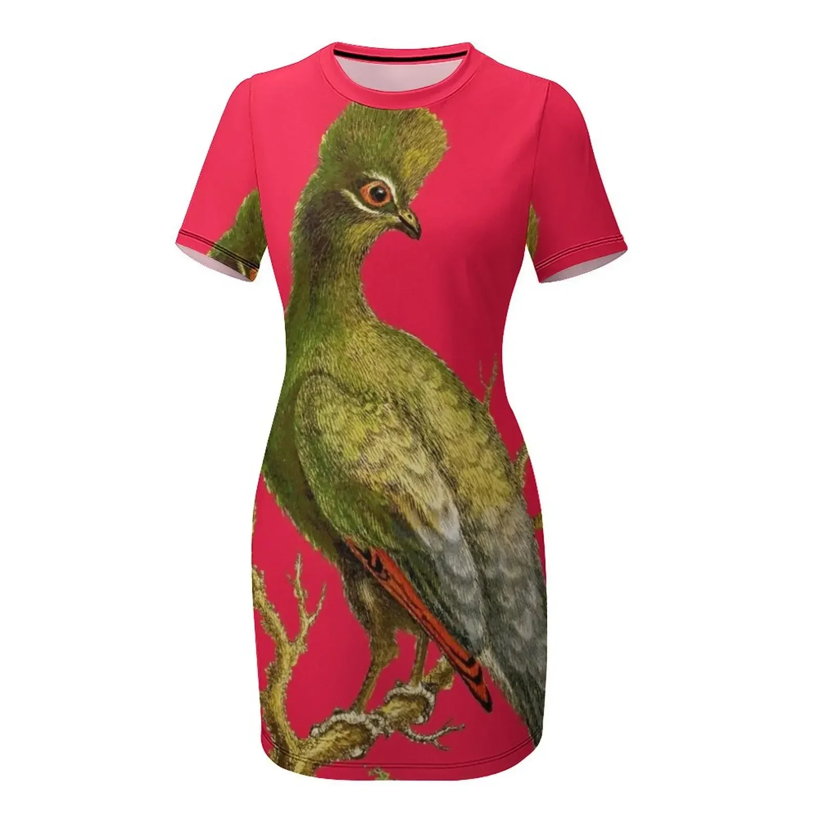 Touraco - Imagen vintage de Bi - Women'S Fashion Dresses Images reseña y precio